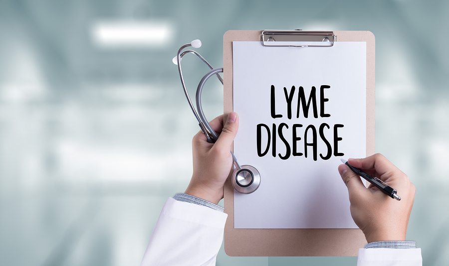 Senior Care in Greenville SC: May is Lyme Disease Awareness Month – Does Your Aging Parent Have These Symptoms?
