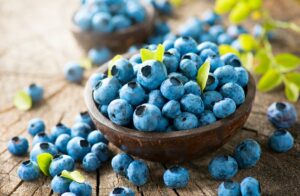 Senior Care in Seneca SC: National Blueberry Month