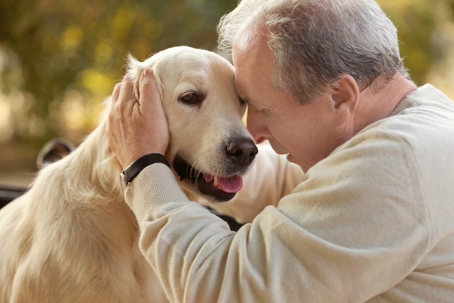 Elderly Care in Greenville SC: Adopting a Dog
