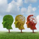 Elderly Care in Columbia SC: Alzheimer's Progression