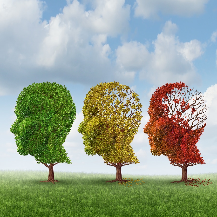 Elderly Care in Columbia SC: Alzheimer's Progression