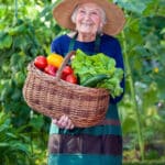 Companion Care at Home Columbia, SC: Benefits of Cucumbers