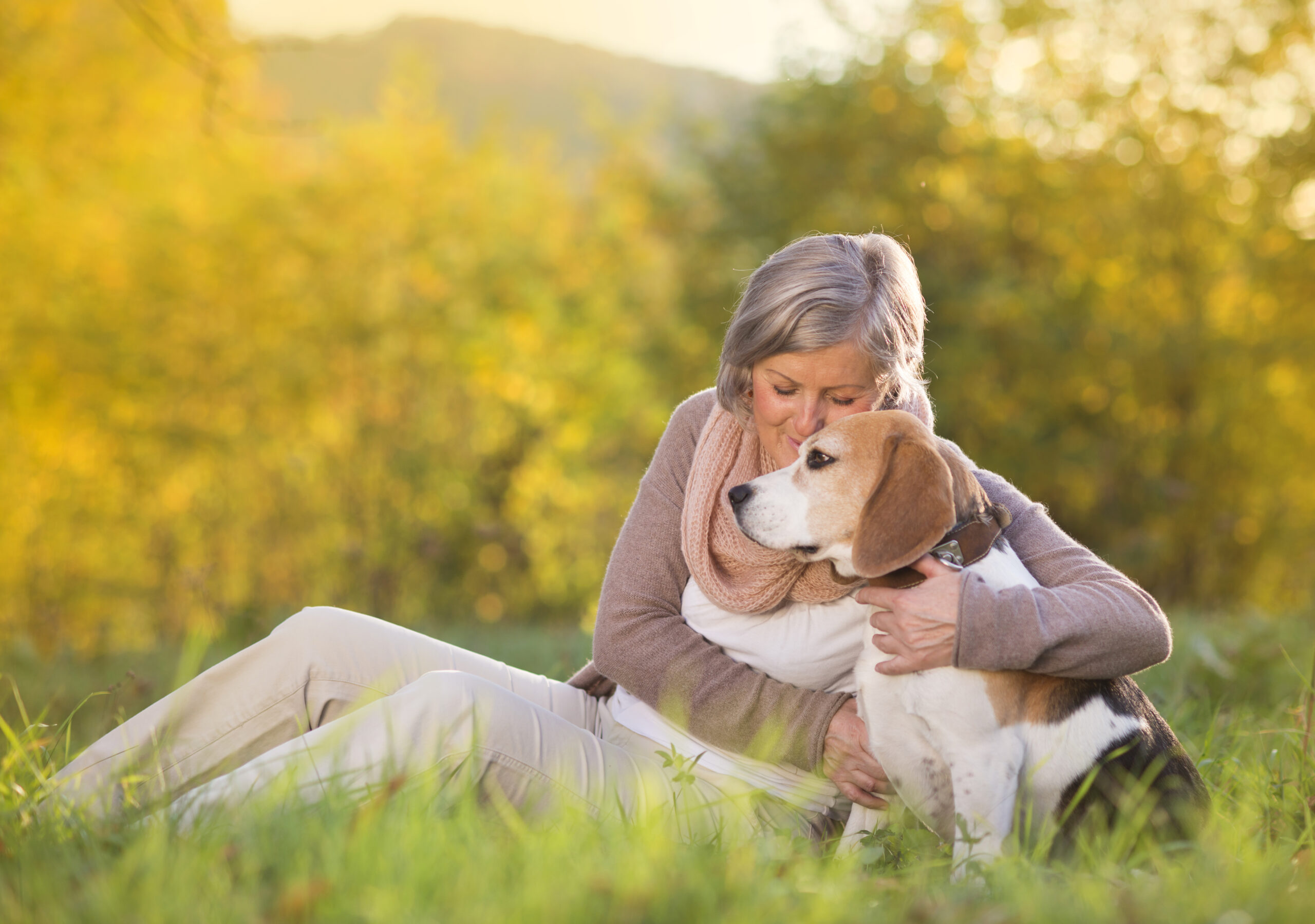 Pet Food Storage: Senior Home Care Assistance Columbia SC