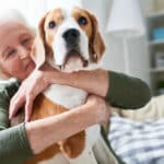 Senior Home Care Greenville, SC: Pet Tips