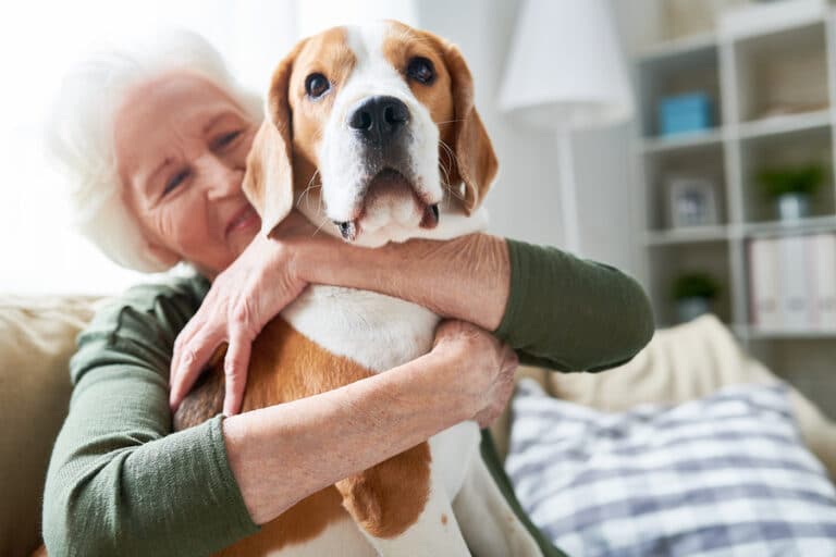 Senior Home Care Greenville, SC: Pet Tips