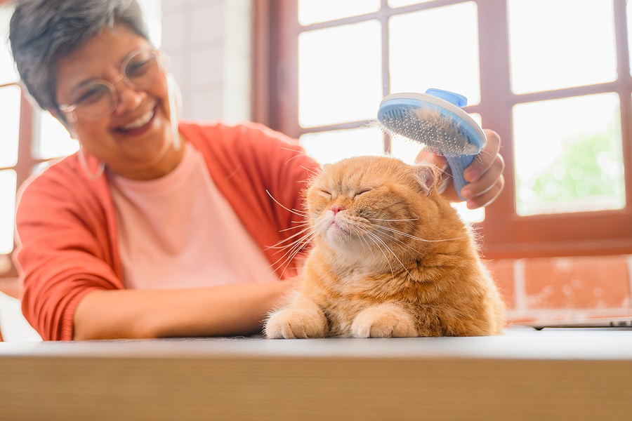 The Benefits of Pet Ownership for Seniors as a Therapy: Enhancing Health, Happiness, and Well-being - Mnepo