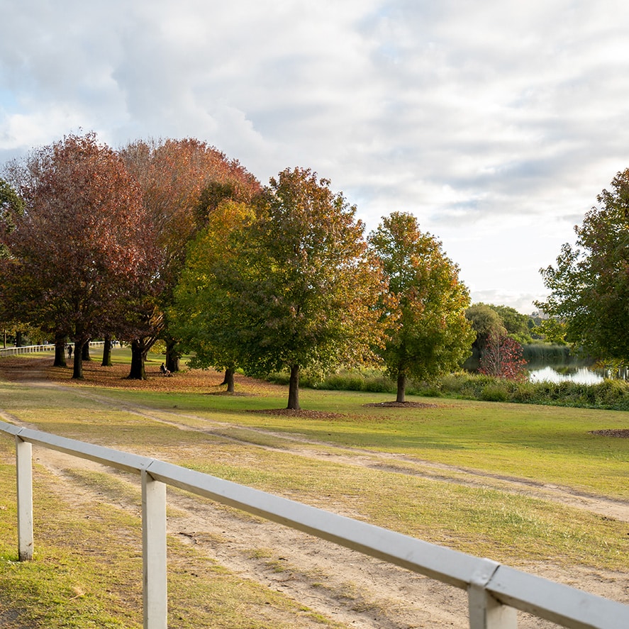 Home Care | Mauldin | Heart of the Carolinas